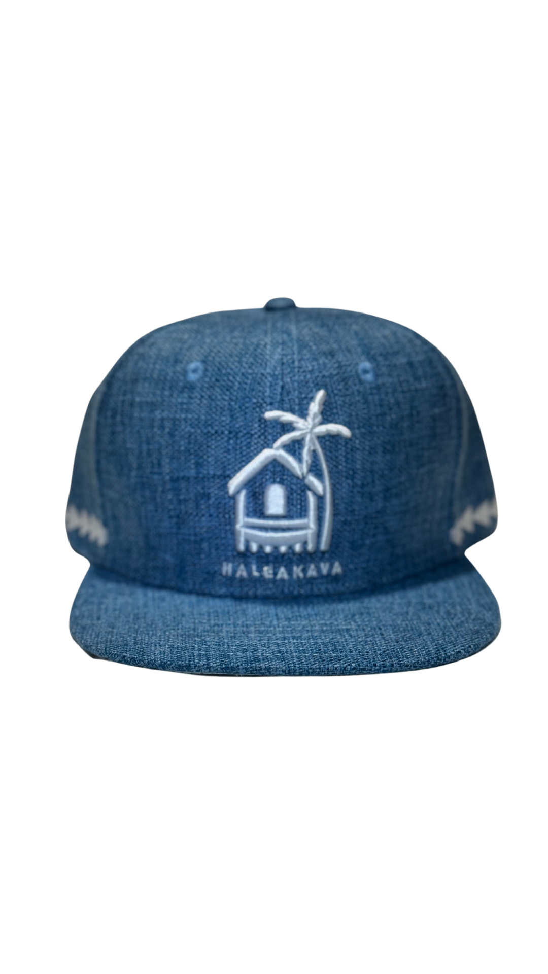 Blue Classic logo Hemp SnapBack